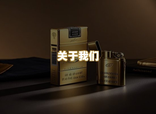 关于我们